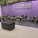 Jtb In The Centr Of Apartment