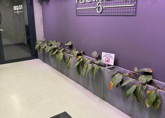 Jtb In The Centr Of *